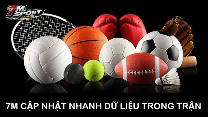 Các thông tin tại 7m được cập nhật liện tục